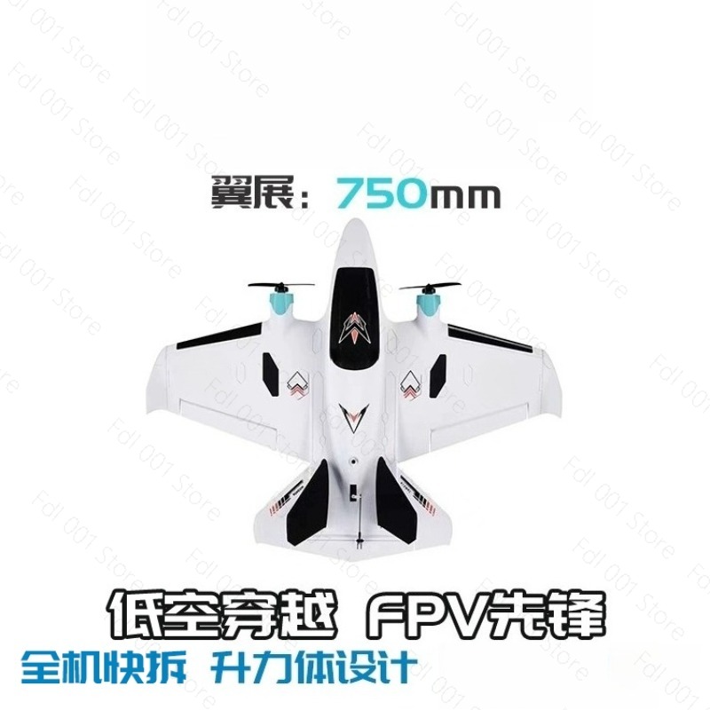 Dual Motor FPV vaste vleugel R - Drone With Rc recensie en prijs